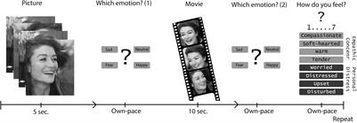 The Association Between Emotion Recognition, Affective Empathy, and Structural Connectivity in Schizophrenia Patients